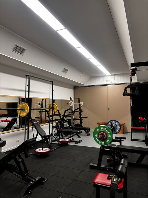 Well-equipped gym interior with various weightlifting and fitness machines