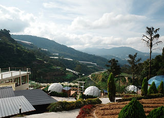 R0006823.JPG