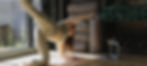 019A4779_edited.jpg