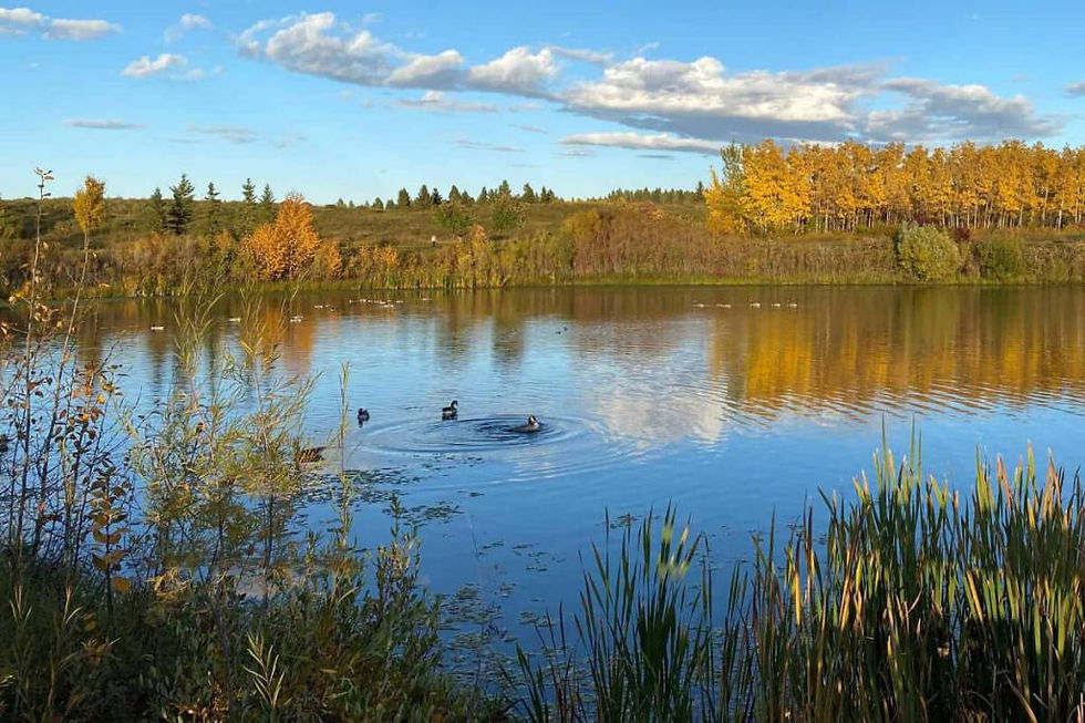 Landscape photo of a calm lake surrounded by trees in autumn colors under a blue sky with clouds