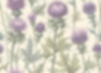 1691009650158 copy_edited.jpg