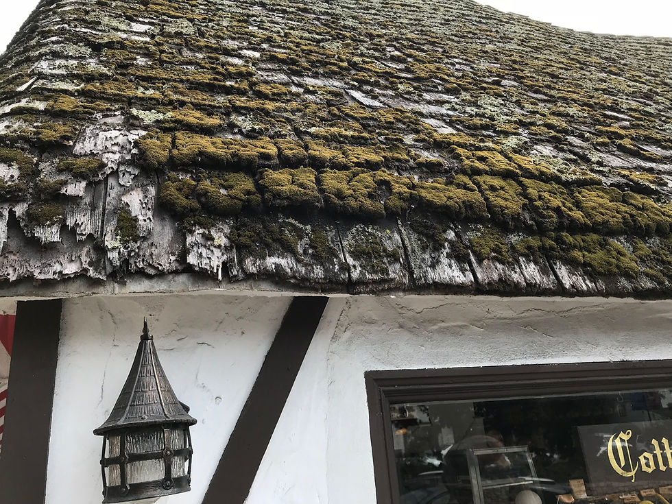A close up shot of a before roof project Homeguard Roofing did