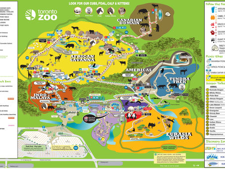 Mengenal Kebun Binatang Toronto: Wisata yang Menggabungkan Kegembiraan dan Edukasi