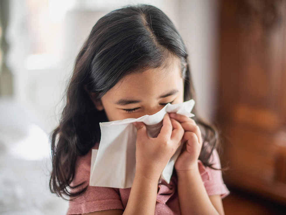 Allergénmentes otthon – így tehetünk többet a tünetek enyhítéséért