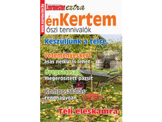 Ezermester Extra 2020/3. énKertem: őszi tennivalók