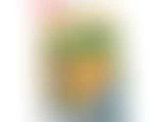 Ezermester Extra 2021/1. énKertem: virágok, dísznövények