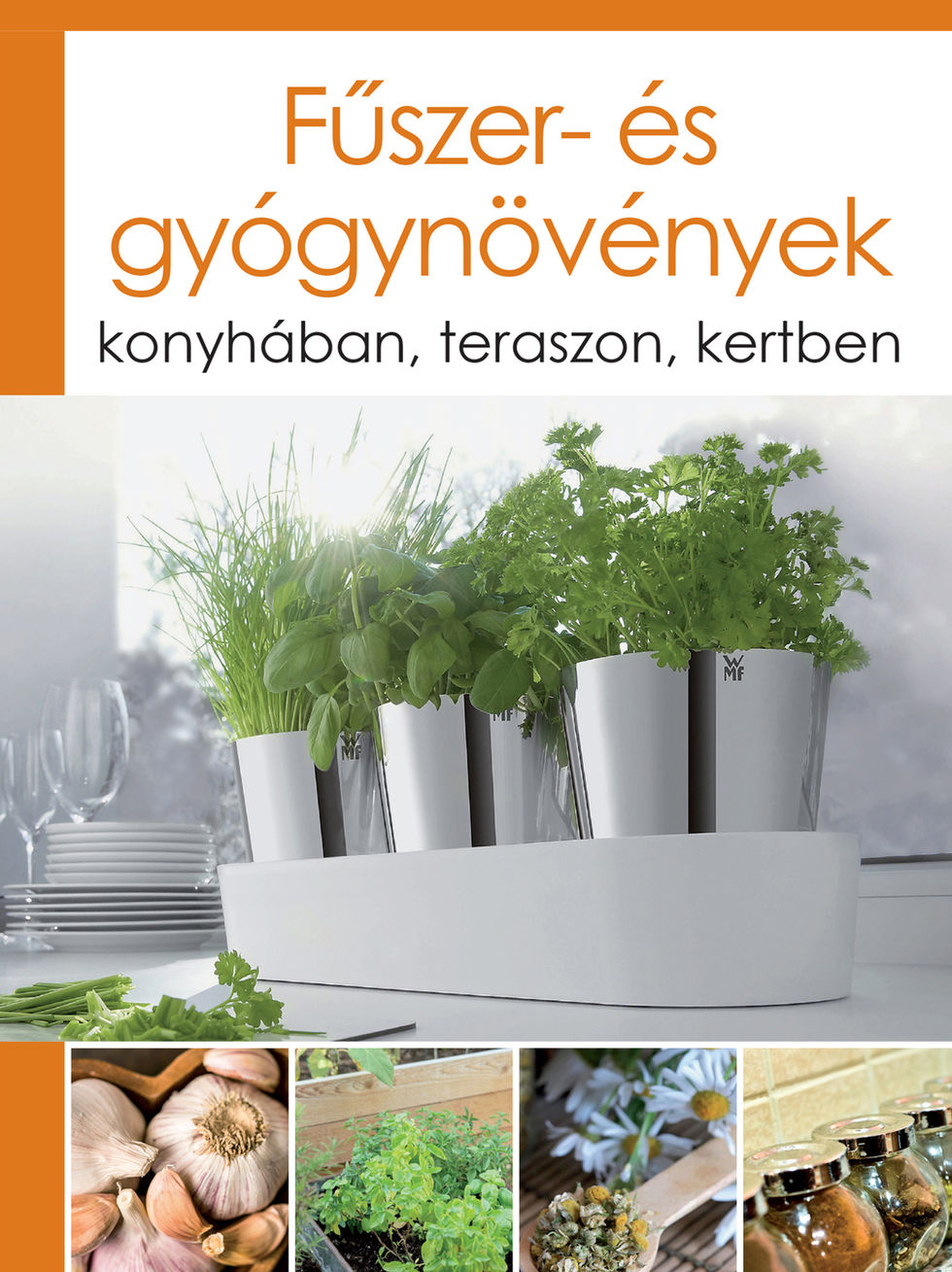 Fűszer- és gyógynövények: konyhában, teraszon, kertben