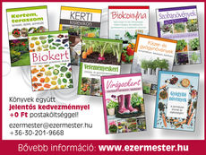 Együtt jobban megéri! Bővebb információ itt!