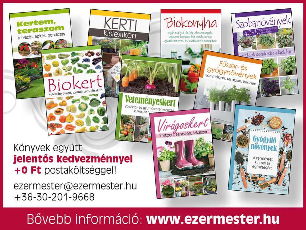 Együtt jobban megéri! Bővebb információ itt!