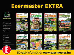 Okoselőfizetés: Ezermester Extra