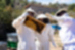 _MG_6988s