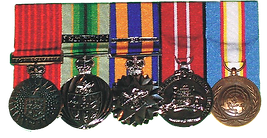 Australian Bravey Medal - BM
