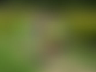 Bouches-du-Rhône | 40e Super challenge FSGT d'athlé !