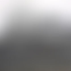 La jeunesse ou le cœur du Front populaire