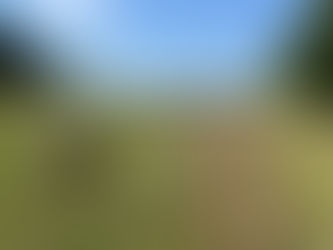 Why You're Exhausted but Still Can't Sleep: Understanding the Three Biological Processes that Determine Sleep Quality.