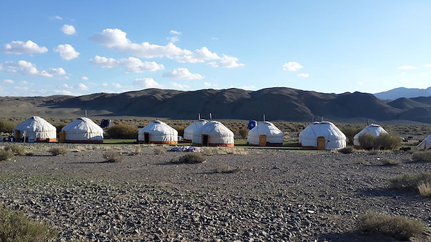 mongolian ger camp for project accomodation