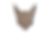 Miniaturbild: Tierkopf "Wüstenfuchs" Fleetwood im Polygonal Stil