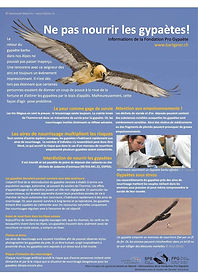 Gypa poster nourrissage.JPG