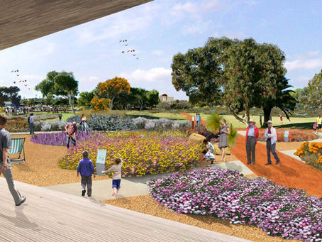 geraldton botanic gardens; bringing community and tourists together to celebrate the regions flora.