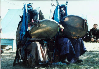 Исцеляющие секреты шаманов могут стать основой новой биологии