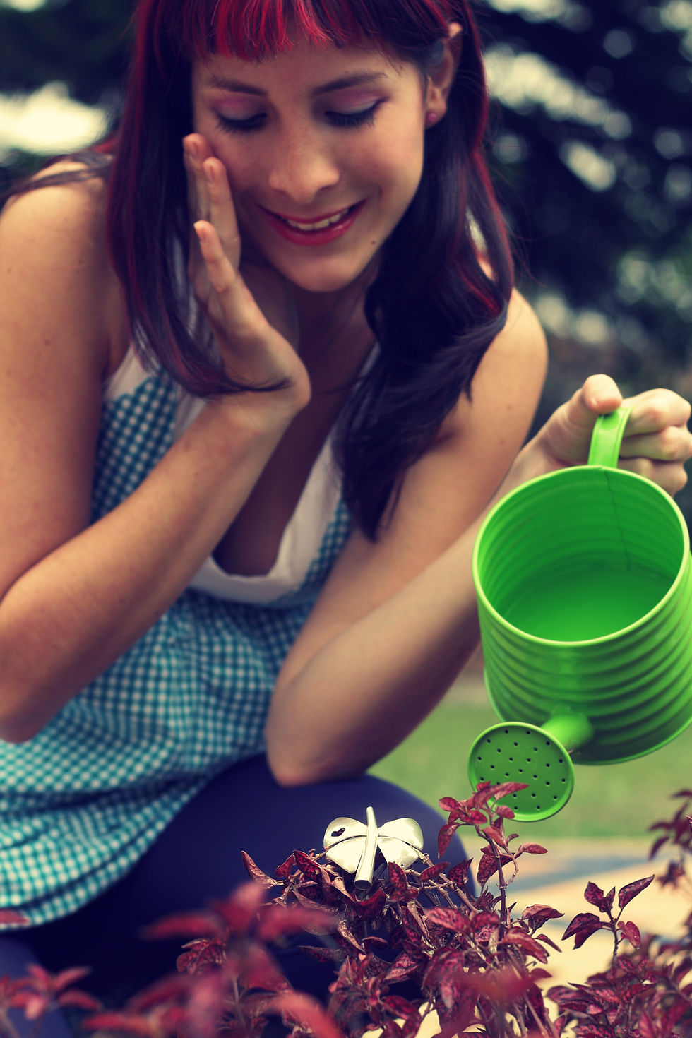 Butterfly & Garden 2