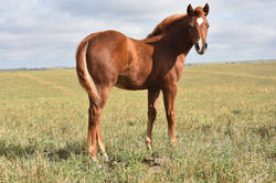 40538919_1109446085885577_63926776718132