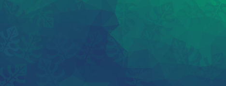 Illustrated Shutter Shades Facebook Cove