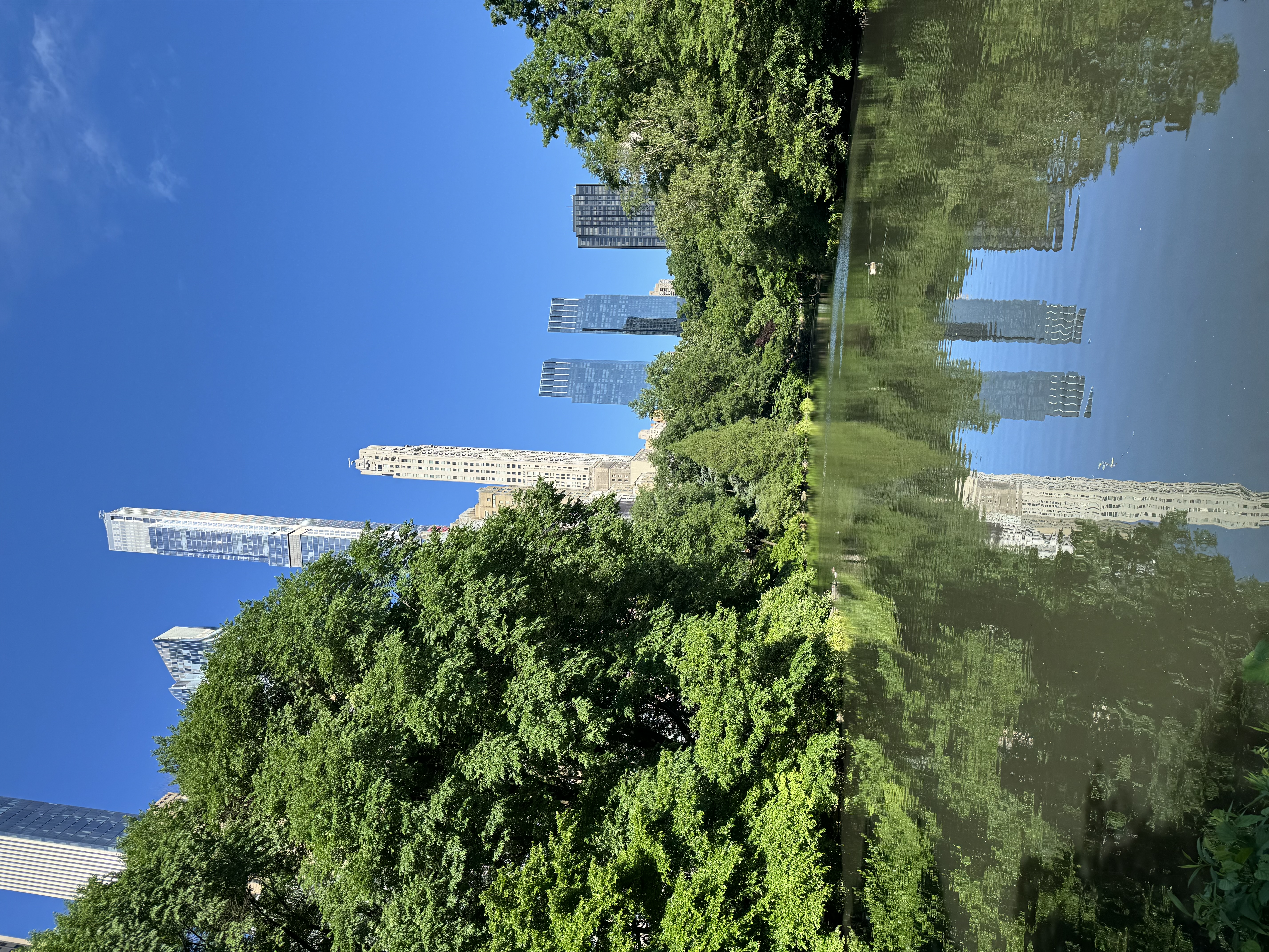 Central park + skyline.jpg
