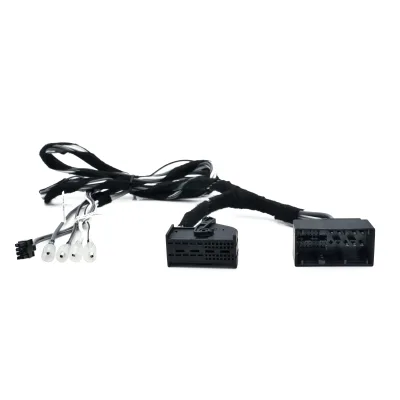 Audison Prima AFBMW Booster 01