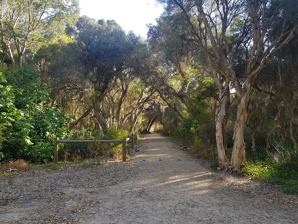 Confessions of an Undertrained Athlete - Episode 1