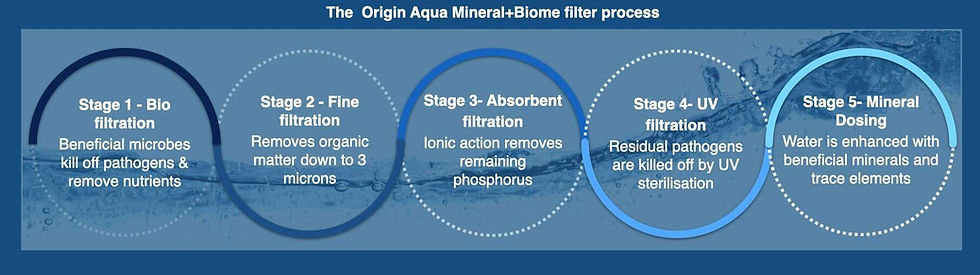 Five-Stage Water Filtration Process
1. Bio Filtration: Removes nutrients and pathogens using beneficial microbes.
2. Fine Filtration: Eliminates suspended particles as small as 3 microns.
3. Absorbent Filtration: Removes remaining phosphorus.
4. UV Filtration: Kills any remaining pathogens.
5. Mineralizer: Re-mineralizes the water with trace elements like selenium and magnesium, replicating the benefits of thermal spa water.