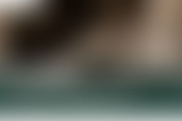 “ดอกกัด” แต่ละประเภทการใช้งานอย่างไร