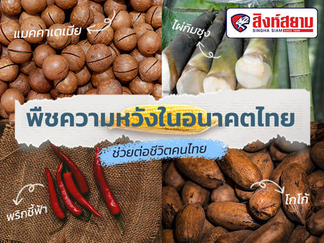 พืชเศรษฐกิจของไทย : พลังขับเคลื่อนเศรษฐกิจและการพัฒนาที่ยั่งยืน