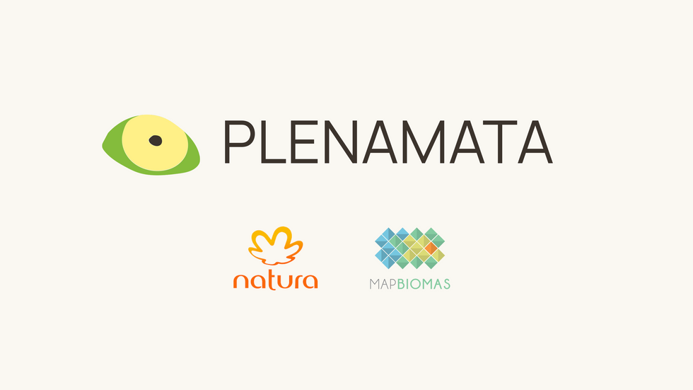 12 - Plena Mata