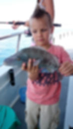 2016-06-26 10.30.58.jpg