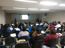 imagem5