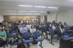 imagem2