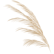 Tillhemsidan (1).png