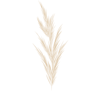 Namnlös design (3).png