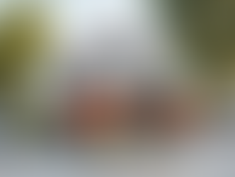 El retrato y otros relatos (IV de V)