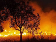 Otros efectos en Argentina