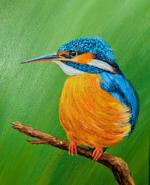 Kingfisher