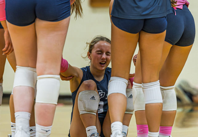 IMG_7437-Enhanced-NR