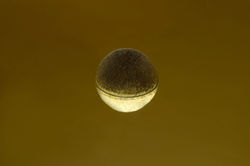 haruka fujita (11).jpg