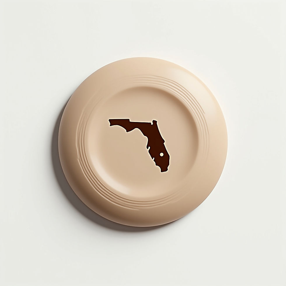 Myakka Putter Disc