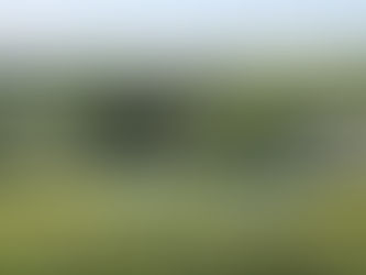 Welcome to the Dolbryn Blog