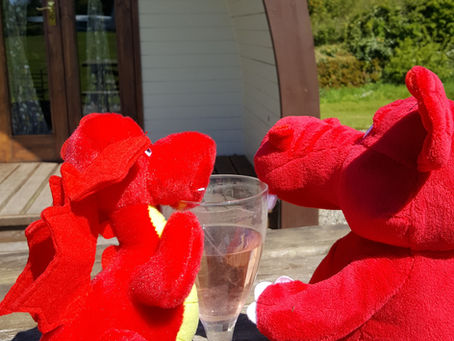 Dolly & Bryn's Dolbryn Adventure