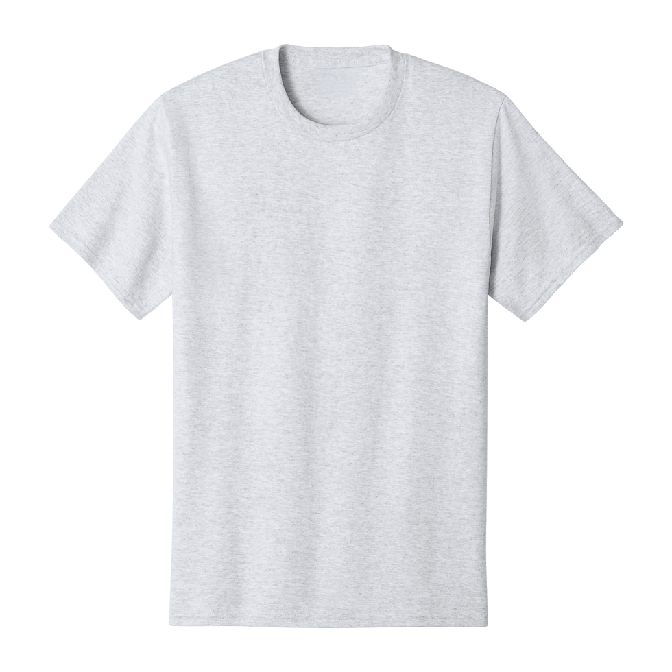 Ash Port & Company short sleeve crewneck t-shirt, front view.