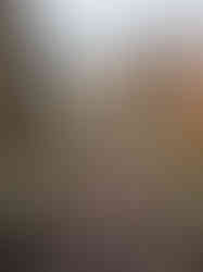 zicht over het houtsnipperpad