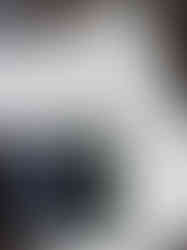 Master beplantingsplan met 1000+ planten in de Wadi